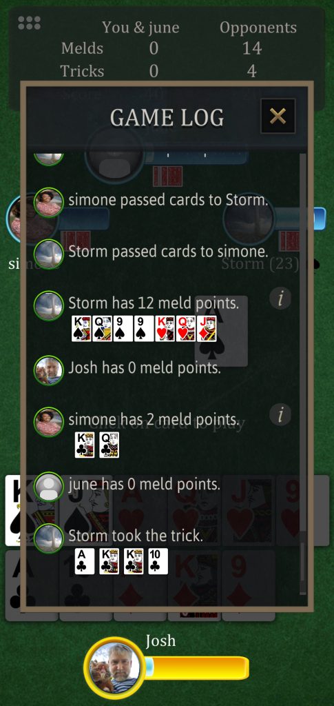 Screenshot of Pinochle Game Log