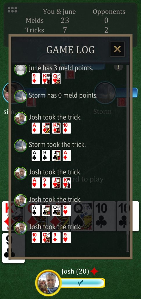 Screenshot of Pinochle Game Log