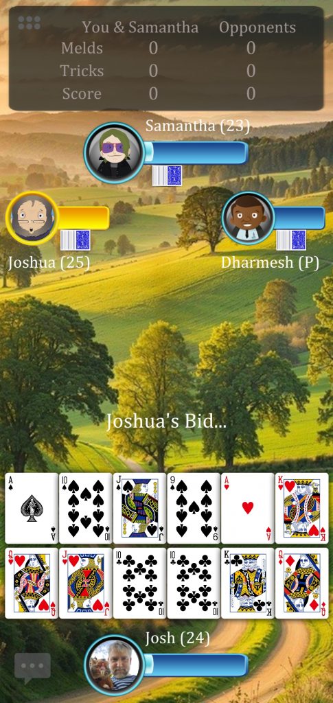 Screenshot of playing Pinochle with custom background and cards